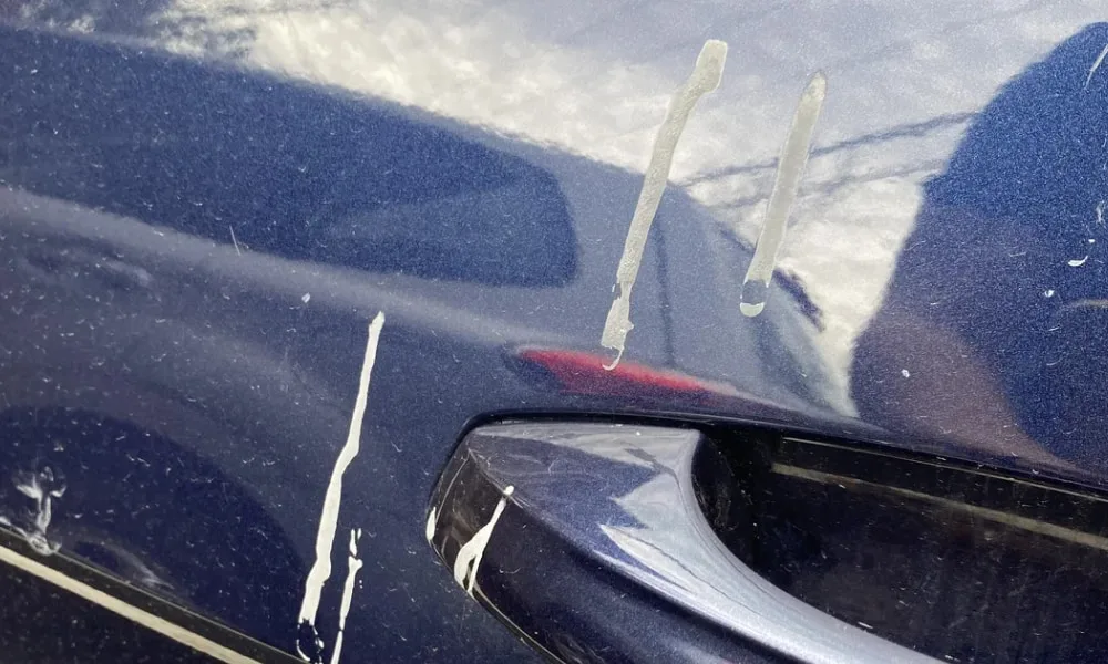 tay nhua cay tren xe o to (1)