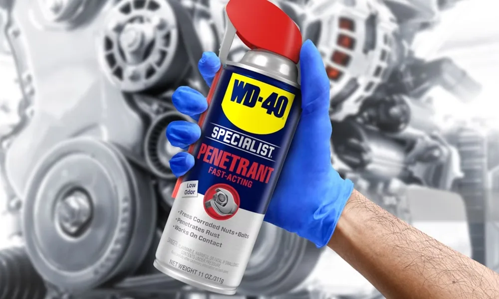 tay nhua cay tren xe o to (12)