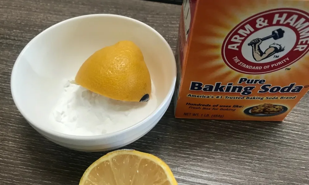 tay nhua cay tren xe o to (14)