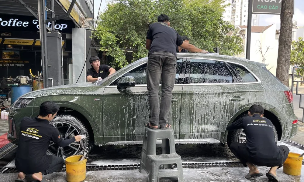 tay nhua cay tren xe o to (5)