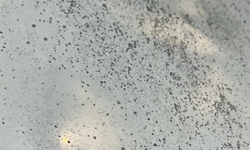 tay nhua cay tren xe o to (6)