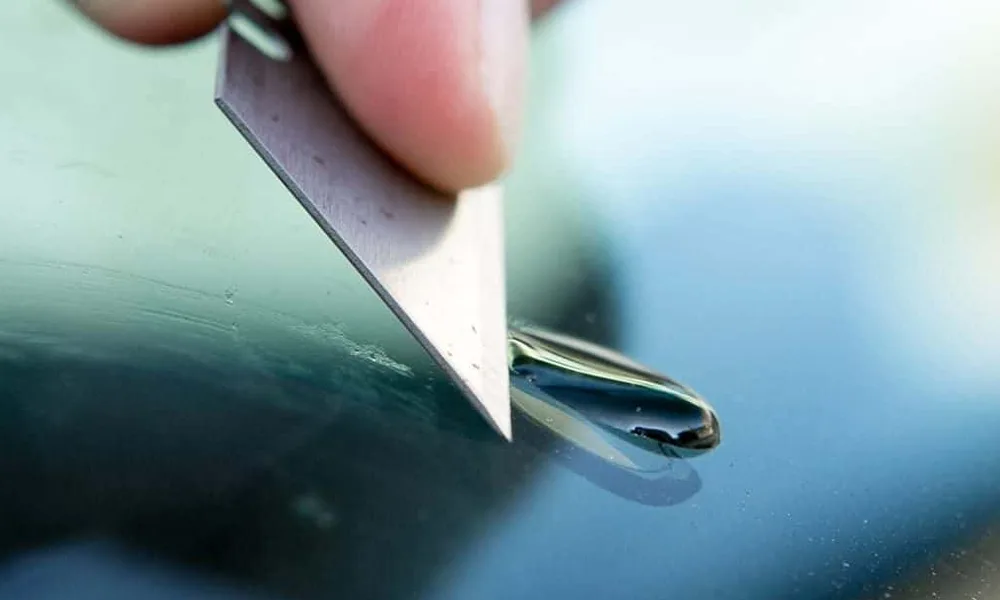 tay nhua cay tren xe o to (8)