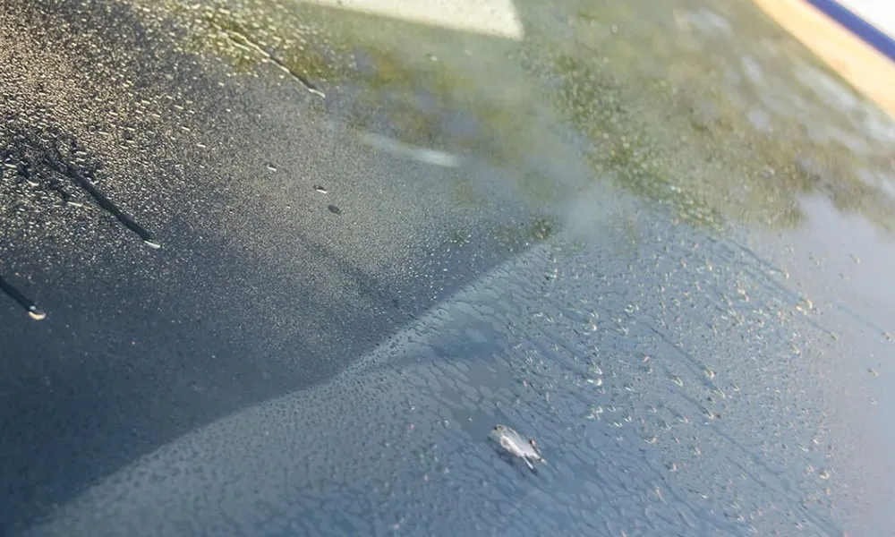 ve sinh kinh xe o to (10)