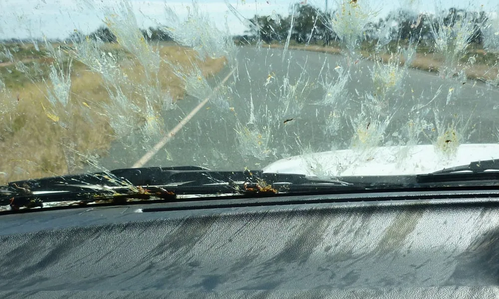 ve sinh kinh xe o to (12)